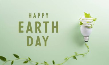 Yeşil çevre dostu kavram ampul ve taze yapraklardan yapılmıştır. Enerji tasarrufu, ekoloji, dünya günü ve çevre sürdürülebilir kaynak koruma kavramı.