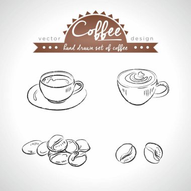 - Kahve. Elle çizilmiş vektör çizimi detaylı kahve. İzole edilmiş