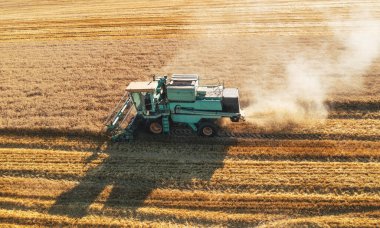 Buğday hasadını birleştirerek olgun buğday havası görüntüsü elde ederiz. Tarım alanı ve tarım kavramı.