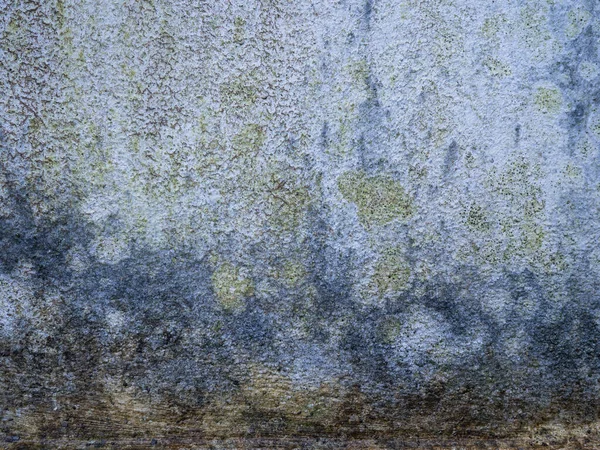 Cement blue stone wall moldy texture background.