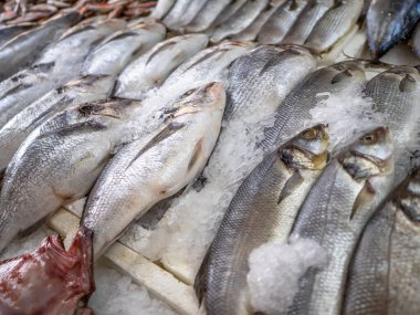Fresh fish on counter in store or supermarket. Seafood natural products.