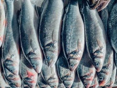 Tezgahta deniz balığı, üst manzara..