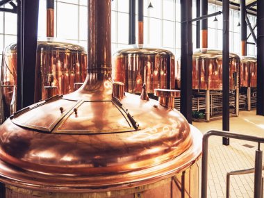 Mikro bira fabrikası ve ekipman. Bira fermantasyonu ve olgunlaşma için yuvarlak bakır depolama tankları. Bira imalatı.