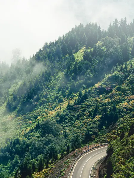 stock image Winding mountain road through lush green forest partially covered in mist. Scenic view of curving highway amidst dense foliage, creating a serene and mysterious atmosphere. Perfect for travel and