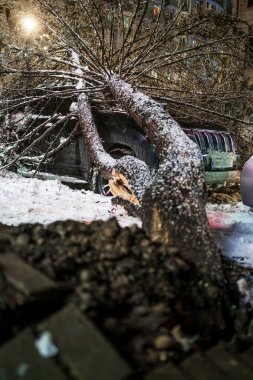 Snow-covered tree collapsed onto luxury SUV at night, crushing its roof and windshield. Glowing city lights reflect on icy street, creating dramatic contrast between natures force and urban life. clipart