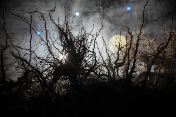 Espeluznante Paisaje Oscuro Que Muestra Siluetas Árboles Pantano Noche Brumosa — Foto de Stock