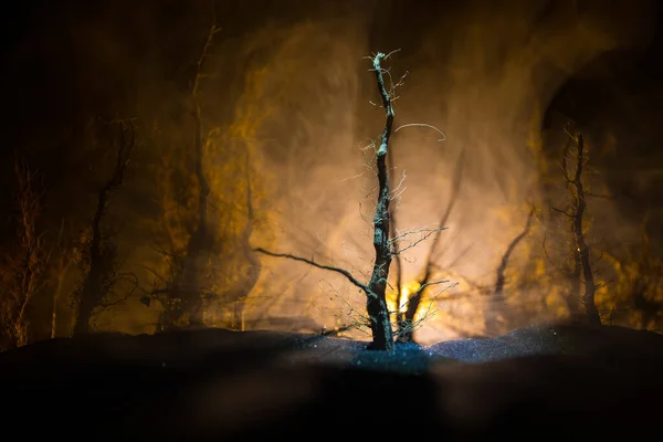 Spookachtig Donker Landschap Met Silhouetten Van Bomen Het Moeras Mistige — Stockfoto