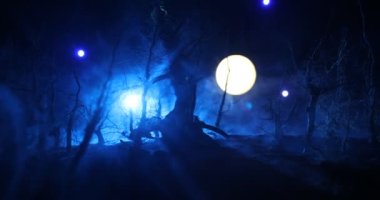 Ürkütücü karanlık manzara, sisli bir gecede bataklıktaki ağaç siluetlerini gösteriyor. Ateşin içindeki gizemli orman ve dramatik bulutlu gece gökyüzü.