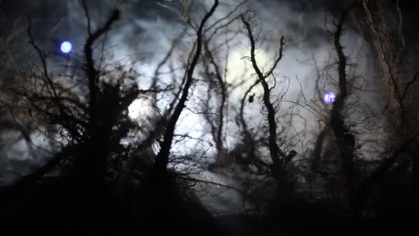 雾蒙蒙的夜晚 阴暗的景象展现了沼泽中树木的轮廓 夜晚神秘的森林在火中 戏剧化的云彩夜空 — 图库视频影像