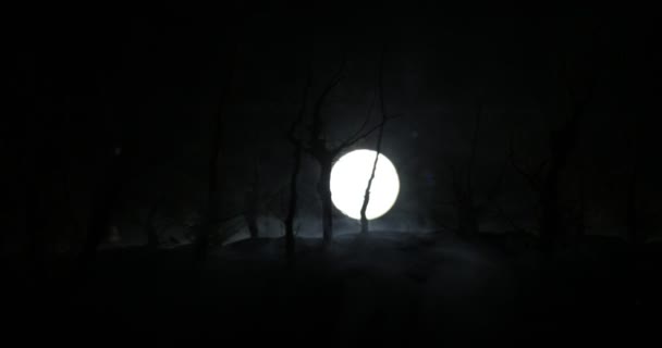 Ürkütücü Karanlık Manzara Sisli Bir Gecede Bataklıktaki Ağaç Siluetlerini Gösteriyor — Stok video