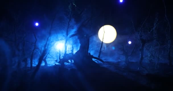 Страшный Темный Пейзаж Изображающий Силуэты Деревьев Болоте Туманную Ночь Ночь — стоковое видео