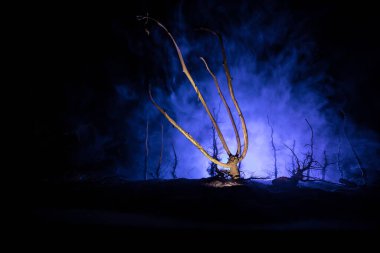 Ürkütücü karanlık manzara, sisli bir gecede bataklıktaki ağaç siluetlerini gösteriyor. Ateşin içindeki gizemli orman ve dramatik bulutlu gece gökyüzü