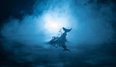 Soyut kavram. Balık (köpekbalığı) silueti geceleri suya atlıyor. Karanlık sisli arka planda su sıçraması. Seçici odak.