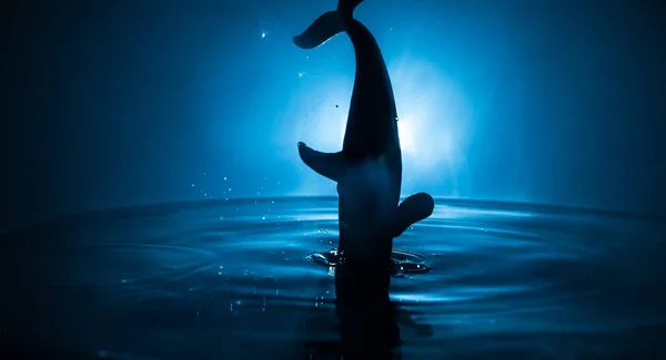 Concept Abstrait Silhouette Poisson Requin Sautant Sur Eau Nuit Eau — Photo