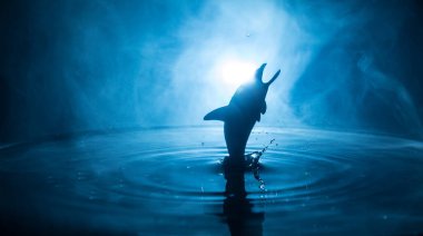 Soyut kavram. Balık (köpekbalığı) silueti geceleri suya atlıyor. Karanlık sisli arka planda su sıçraması. Seçici odak.