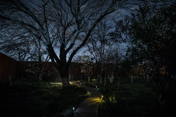 Noci Shlížel Dolů Schodech Oblázkového Dřevěného Trámu Obklopených Stromy Osvětlených — Stock fotografie