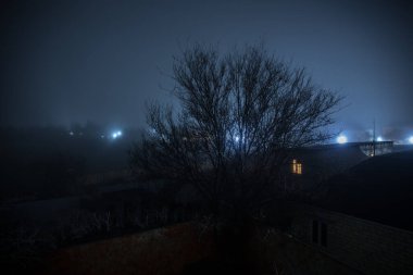 Geceleri ormanda bir hayaletin olduğu eski bir ev ya da sis içinde terk edilmiş bir korku evi. Ölü ağaç ormanındaki eski mistik bina. Geceleri aylı ağaçlar. Gerçeküstü ışıklar. Korku Cadılar Bayramı konsepti