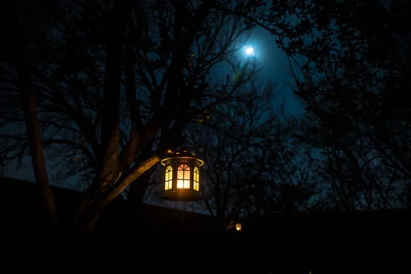 Hermosa Lámpara Iluminada Colores Jardín Noche Brumosa Linterna Estilo Retro — Foto de Stock