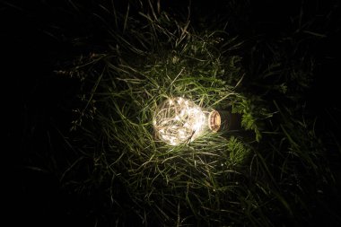 Küresel bir bahçe lambasını aydınlatan beyaz renkli lamba parkın arka bahçesindeki çimlerin üzerinde yeşil bir çimenlikte uzanıyor, bir aydınlatma armatürüne yakın bir gece sahnesi karanlıkta..