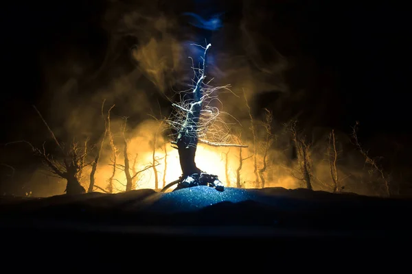 Ürkütücü Karanlık Manzara Sisli Bir Gecede Bataklıktaki Ağaç Siluetlerini Gösteriyor — Stok fotoğraf