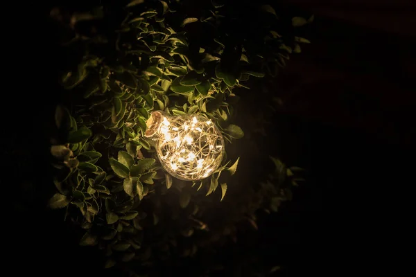 Iluminar Una Lámpara Esférica Del Jardín Del Suelo Del Color — Foto de Stock