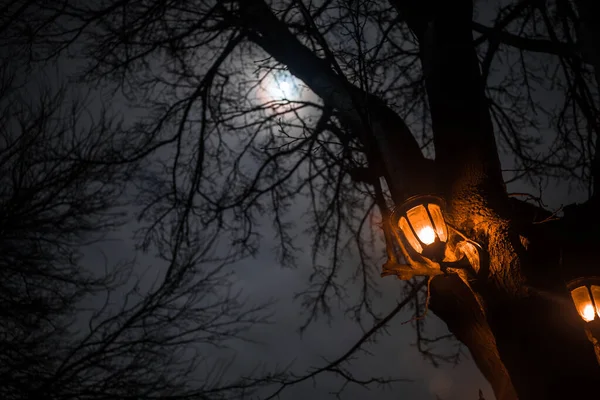 Güzel renkli bahçe lambası gece ışıklı. Retro tarzı fener gece açık. Seçici odak