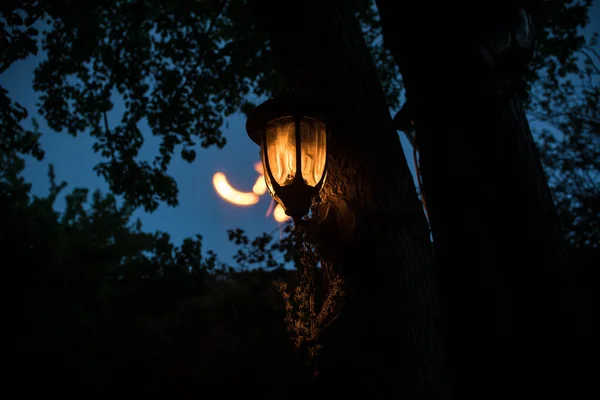 Vackra Färgglada Upplyst Lampa Trädgården Dimmiga Natten Retro Stil Lykta — Stockfoto