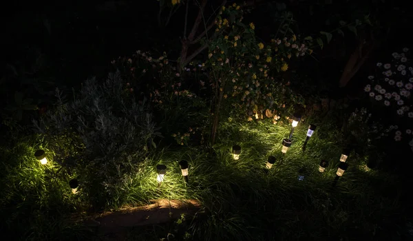 Luz Solar Pequena Decorativa Jardim Lanternas Cama Flor Projeto Jardim — Fotografia de Stock