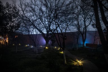 Geceleri ormanda bir hayaletin olduğu eski bir ev ya da sis içinde terk edilmiş bir korku evi. Ölü ağaç ormanındaki eski mistik bina. Geceleri aylı ağaçlar. Gerçeküstü ışıklar. Korku Cadılar Bayramı konsepti