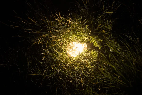 Iluminando Uma Lâmpada Jardim Terra Esférica Cor Branca Encontra Gramado — Fotografia de Stock