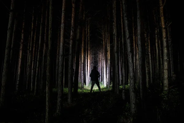 Silhouet Van Een Persoon Die Met Licht Het Donkere Bos — Stockfoto