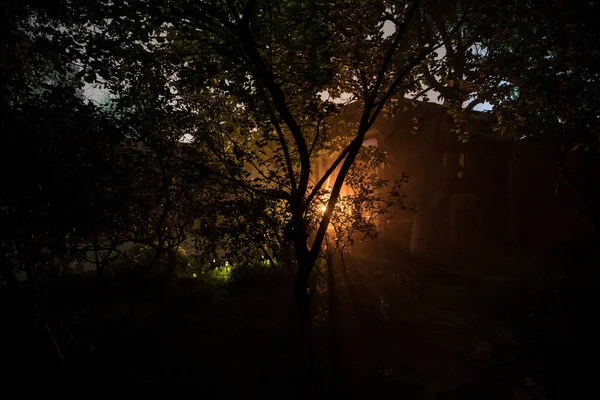 Таємничий Шлях Стежка Темряві Туманний Огидний Таємничий Ліс Довгий Знімок — стокове фото
