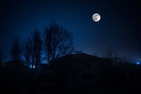 晚上森林里有鬼的老房子 或在雾中被遗弃的鬼屋 枯树森林里的古老神秘建筑 夜晚与月亮同在的树 超现实的灯 可怕的万圣节概念 — 图库照片
