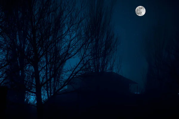 Старий Будинок Привидом Лісі Вночі Або Занедбаний Будинок Жахів Тумані — стокове фото