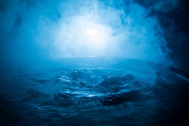 Soyut kavram. Balık (köpekbalığı) silueti geceleri suya atlıyor. Karanlık sisli arka planda su sıçraması. Seçici odak.