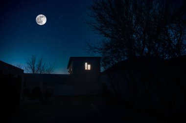 Geceleri ormanda bir hayaletin olduğu eski bir ev ya da sis içinde terk edilmiş bir korku evi. Ölü ağaç ormanındaki eski mistik bina. Geceleri aylı ağaçlar. Gerçeküstü ışıklar. Korku Cadılar Bayramı konsepti