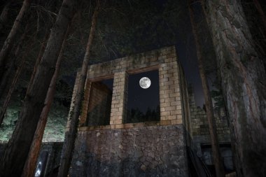 Ormandaki terk edilmiş eski bina, endüstriyel fabrikanın harabeleri. Geceleri çam ormanları