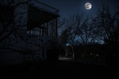 Geceleri ormanda bir hayaletin olduğu eski bir ev ya da sis içinde terk edilmiş bir korku evi. Ölü ağaç ormanındaki eski mistik bina. Geceleri aylı ağaçlar. Gerçeküstü ışıklar. Korku Cadılar Bayramı konsepti