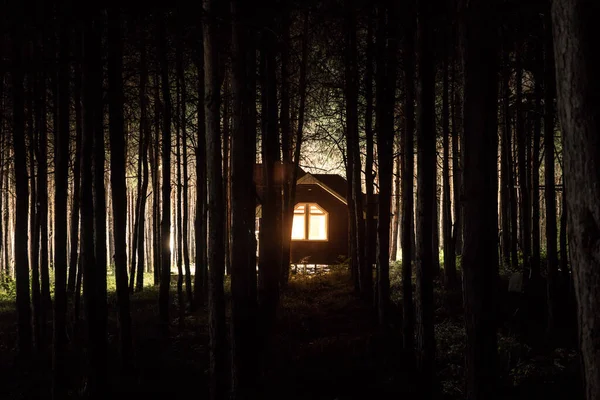 Górski Krajobraz Nocy Budynku Lesie Nocy Księżycem Lub Zabytkowym Wiejskim — Zdjęcie stockowe