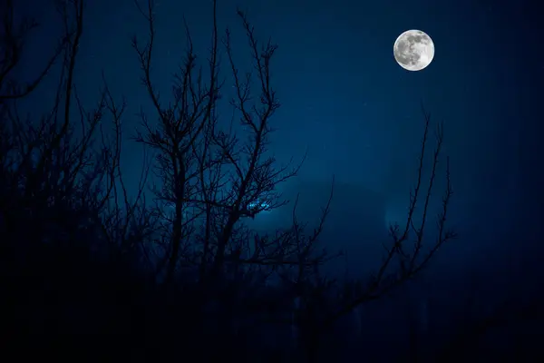 Moonlight zombi stock photo. Image of demon, mist, gothic - 28590770