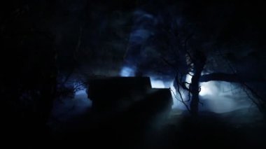 Sisli bir ormanda gece fenerli bir ev..