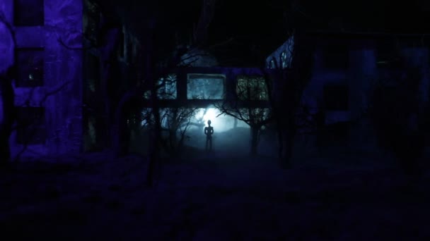 Spaventoso Fantasma Casa Infestata Nel Bosco Halloween Sfondo — Video Stock