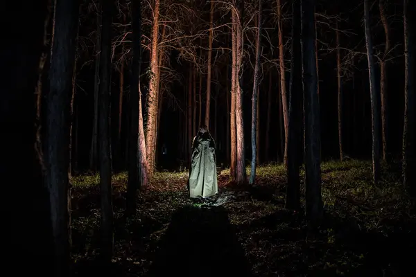 Одна Дівчина Лісі Вночі Концепція Жахів Хелловін Силует Жінки Темному Стокове Зображення