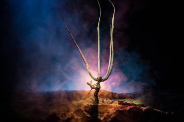 Karanlık sisli arka planda korkunç Cadılar Bayramı ağacının silueti ve arkasında ay var. Korkunç korku kış ölü orman geceleri. seçici odak