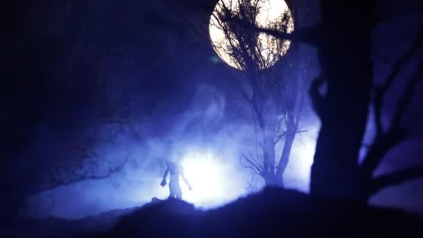 Silhouette Einer Person Die Dunklen Wald Mit Licht Steht Horror — Stockvideo