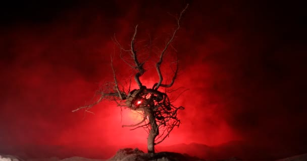 Sylwetka Strasznego Drzewa Halloween Ciemnym Mglistym Tle Księżycem Tylnej Stronie — Wideo stockowe
