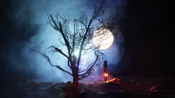 Силует Людини Стоїть Темному Лісі Світлом Концепція Хеллоуїна Жахів Дивний — стокове відео