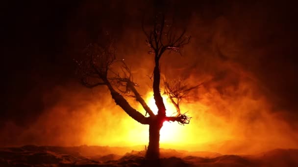 Silhouette Eines Gruseligen Halloween Baumes Auf Dunklem Nebelfarbenen Hintergrund Mit — Stockvideo