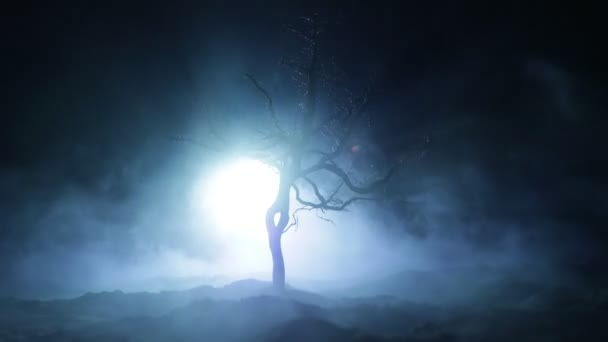 Силует Страшного Хеллоуїна Темному Туманному Тонованому Фоні Місяцем Зворотному Боці — стокове відео
