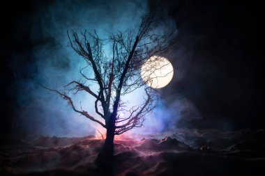 Karanlık sisli arka planda korkunç Cadılar Bayramı ağacının silueti ve arkasında ay var. Korkunç korku kış ölü orman geceleri. seçici odak